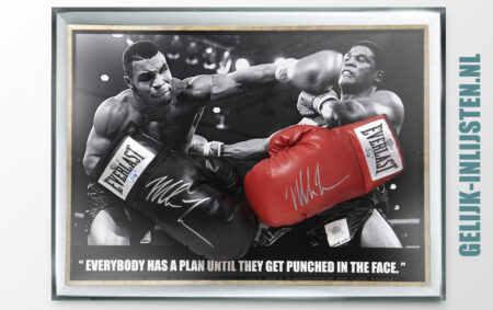 Bokshandschoenen van Mike Tyson laten inlijsten
