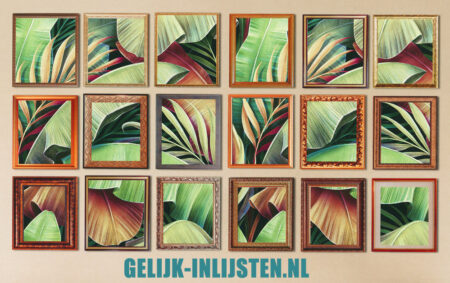 Één foto in verschillende lijsten.